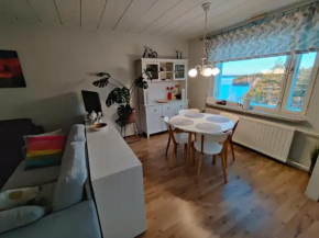 Adorable home with a stunning view, Rovaniemi